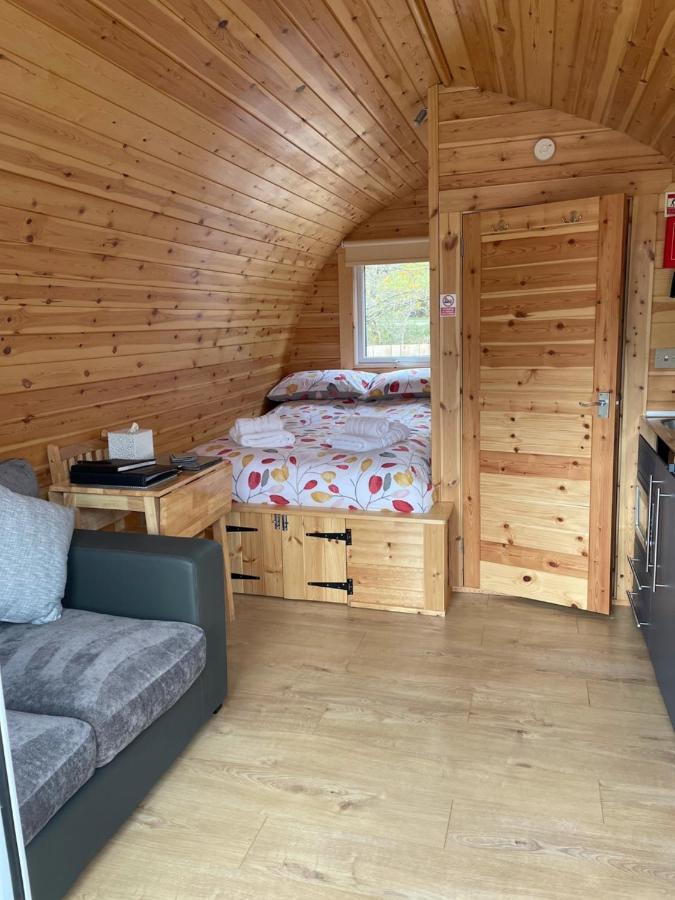 Conifer Fort William